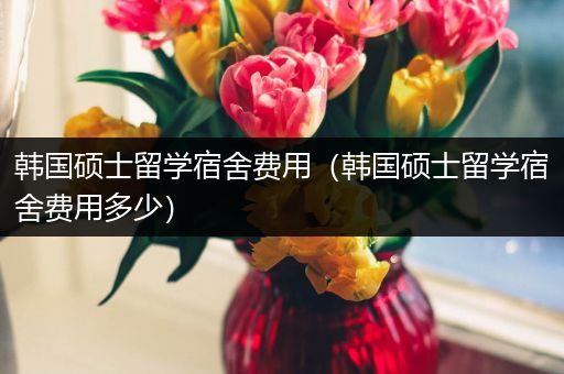 韩国硕士留学宿舍费用（韩国硕士留学宿舍费用多少）