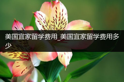 美国宜家留学费用_美国宜家留学费用多少