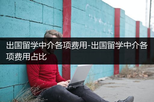 出国留学中介各项费用-出国留学中介各项费用占比