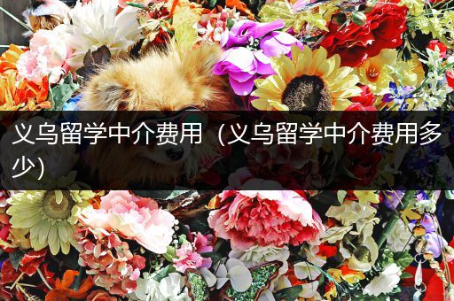 义乌留学中介费用（义乌留学中介费用多少）