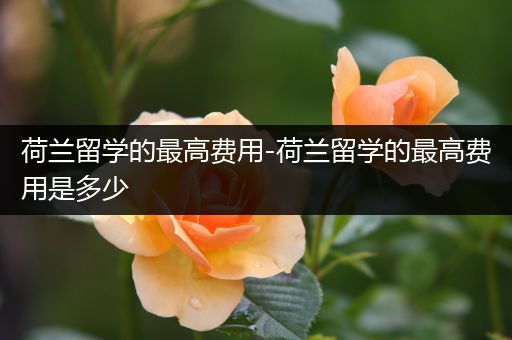 荷兰留学的最高费用-荷兰留学的最高费用是多少