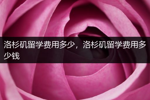 洛杉矶留学费用多少，洛杉矶留学费用多少钱