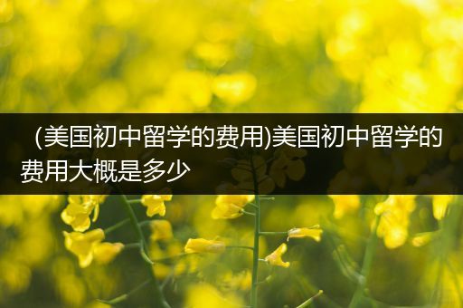 （美国初中留学的费用)美国初中留学的费用大概是多少