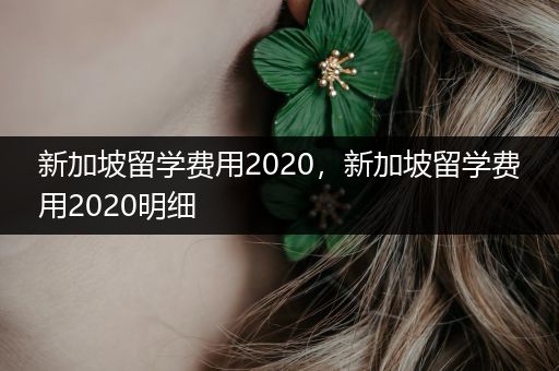 新加坡留学费用2020，新加坡留学费用2020明细