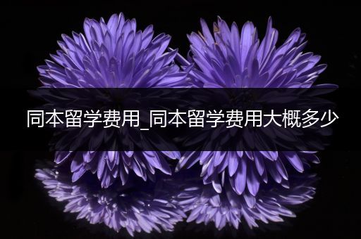 同本留学费用_同本留学费用大概多少