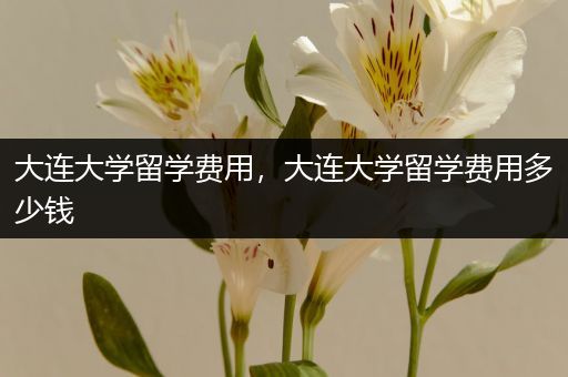 大连大学留学费用，大连大学留学费用多少钱