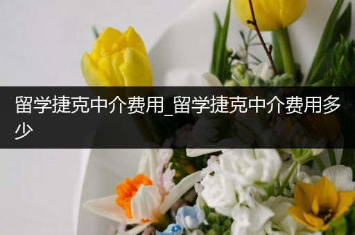 留学捷克中介费用_留学捷克中介费用多少