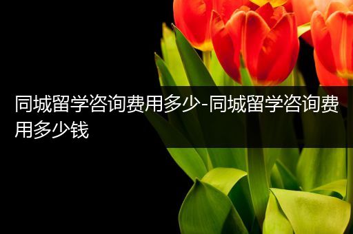 同城留学咨询费用多少-同城留学咨询费用多少钱