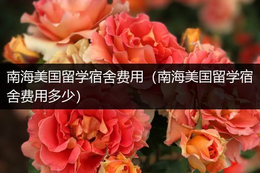 南海美国留学宿舍费用（南海美国留学宿舍费用多少）