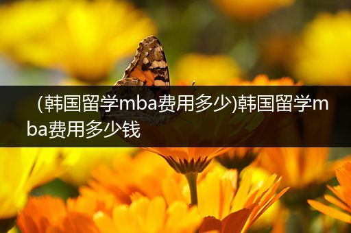 （韩国留学mba费用多少)韩国留学mba费用多少钱