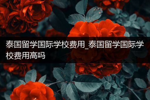 泰国留学国际学校费用_泰国留学国际学校费用高吗