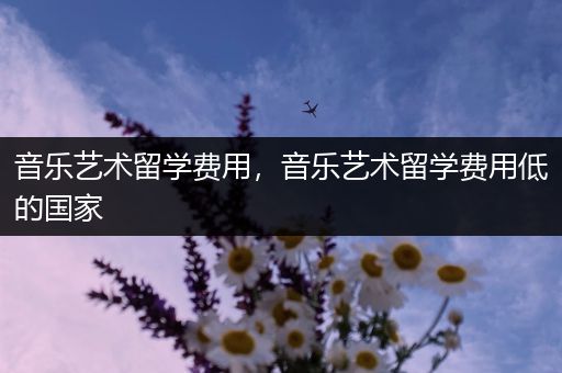 音乐艺术留学费用，音乐艺术留学费用低的国家