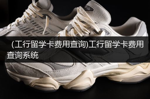 （工行留学卡费用查询)工行留学卡费用查询系统