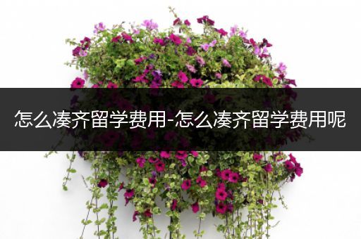怎么凑齐留学费用-怎么凑齐留学费用呢