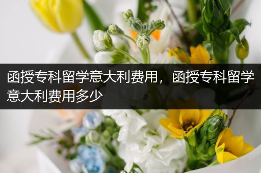 函授专科留学意大利费用，函授专科留学意大利费用多少