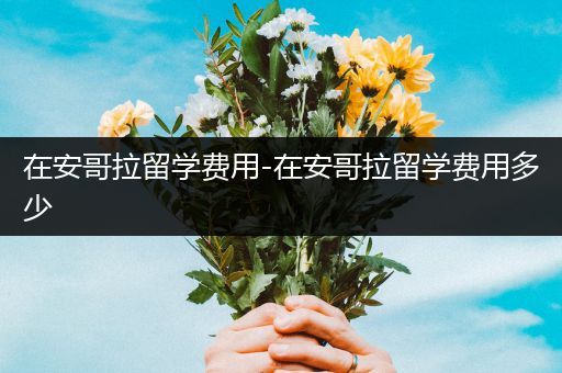 在安哥拉留学费用-在安哥拉留学费用多少