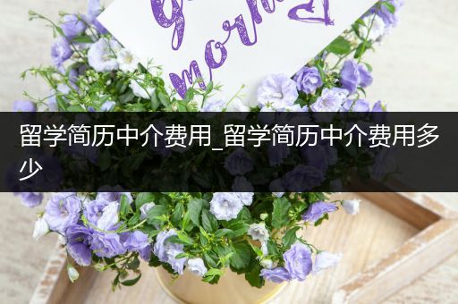 留学简历中介费用_留学简历中介费用多少