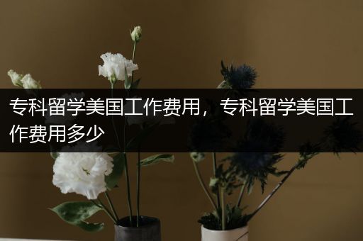 专科留学美国工作费用，专科留学美国工作费用多少