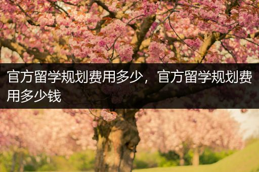 官方留学规划费用多少，官方留学规划费用多少钱