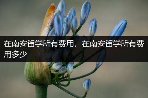 在南安留学所有费用，在南安留学所有费用多少