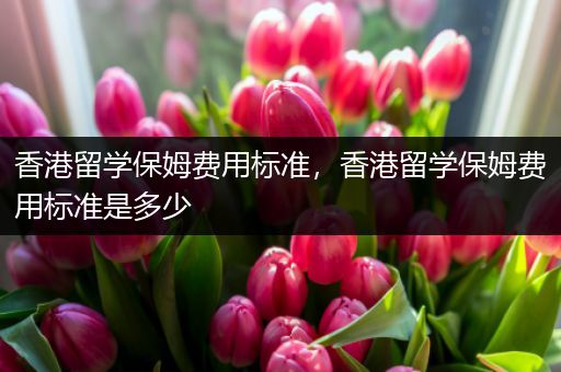 香港留学保姆费用标准，香港留学保姆费用标准是多少