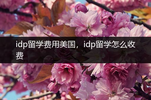 idp留学费用美国，idp留学怎么收费