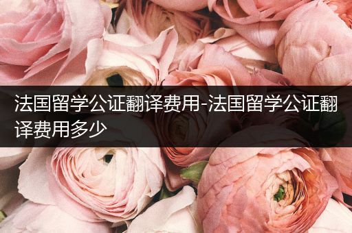 法国留学公证翻译费用-法国留学公证翻译费用多少
