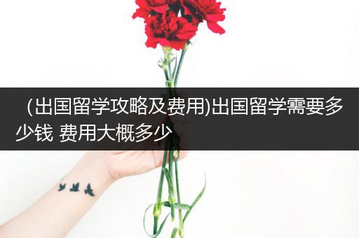 （出国留学攻略及费用)出国留学需要多少钱 费用大概多少