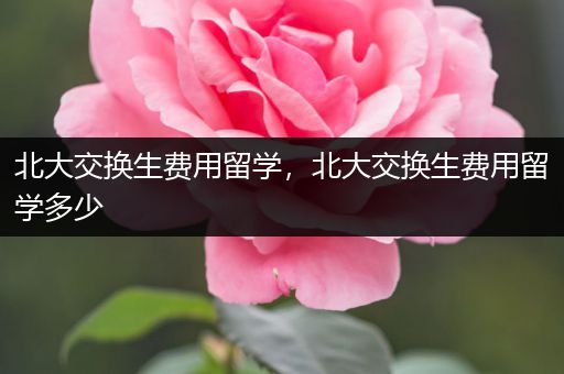 北大交换生费用留学，北大交换生费用留学多少