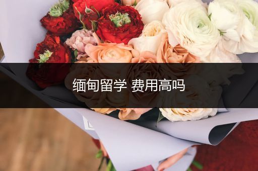 缅甸留学 费用高吗