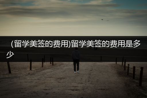 （留学美签的费用)留学美签的费用是多少
