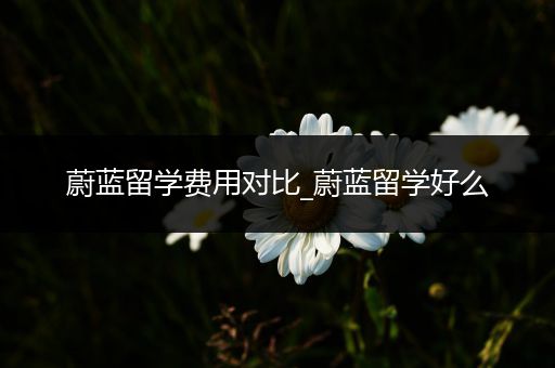 蔚蓝留学费用对比_蔚蓝留学好么