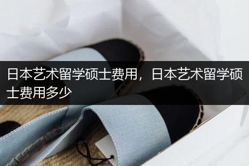 日本艺术留学硕士费用，日本艺术留学硕士费用多少