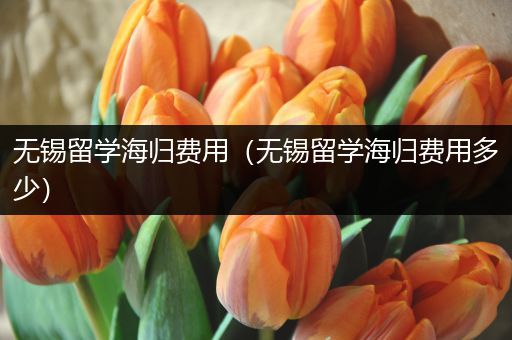 无锡留学海归费用（无锡留学海归费用多少）