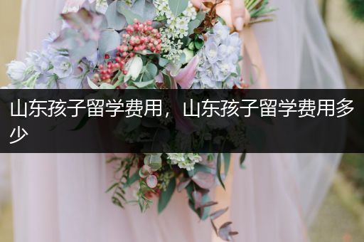 山东孩子留学费用，山东孩子留学费用多少