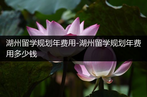 湖州留学规划年费用-湖州留学规划年费用多少钱