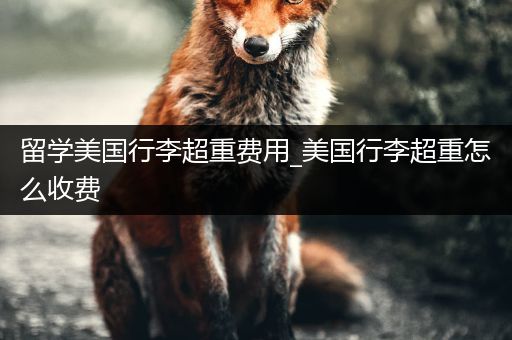 留学美国行李超重费用_美国行李超重怎么收费