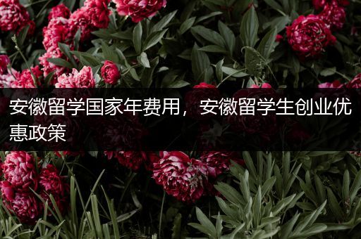 安徽留学国家年费用，安徽留学生创业优惠政策
