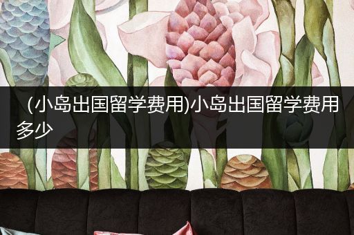 （小岛出国留学费用)小岛出国留学费用多少