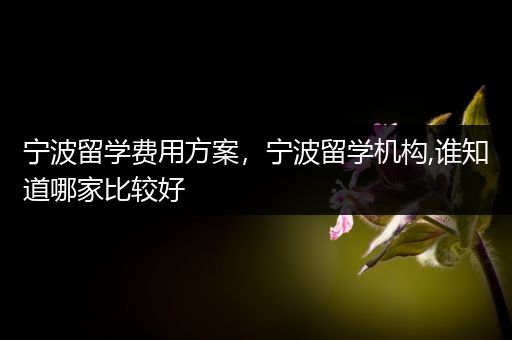 宁波留学费用方案，宁波留学机构,谁知道哪家比较好