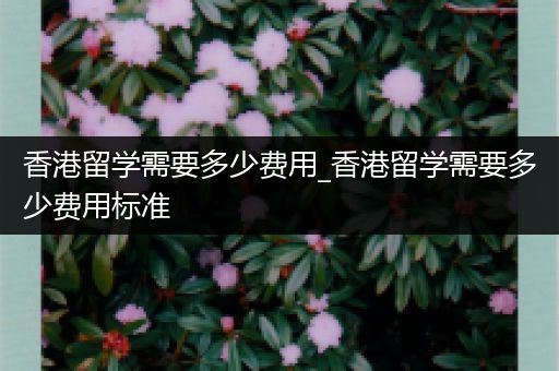 香港留学需要多少费用_香港留学需要多少费用标准