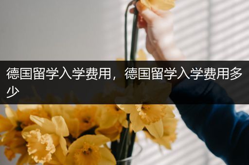 德国留学入学费用，德国留学入学费用多少