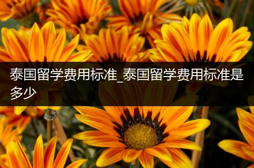 泰国留学费用标准_泰国留学费用标准是多少