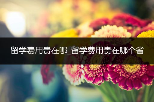 留学费用贵在哪_留学费用贵在哪个省