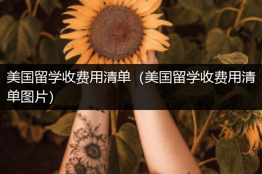 美国留学收费用清单（美国留学收费用清单图片）