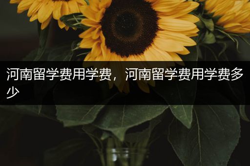 河南留学费用学费，河南留学费用学费多少