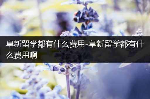 阜新留学都有什么费用-阜新留学都有什么费用啊