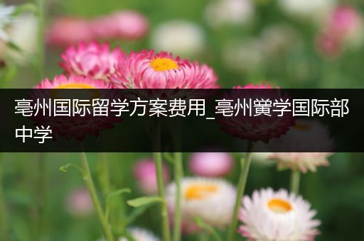 亳州国际留学方案费用_亳州黉学国际部中学