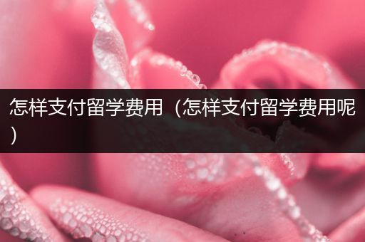怎样支付留学费用（怎样支付留学费用呢）