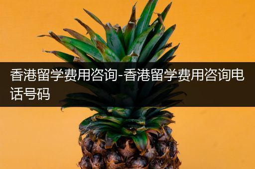 香港留学费用咨询-香港留学费用咨询电话号码